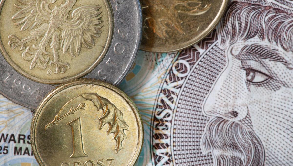Zdjęcie przedstawia monety i banknoty polskiej waluty złotego (zł, PLN)