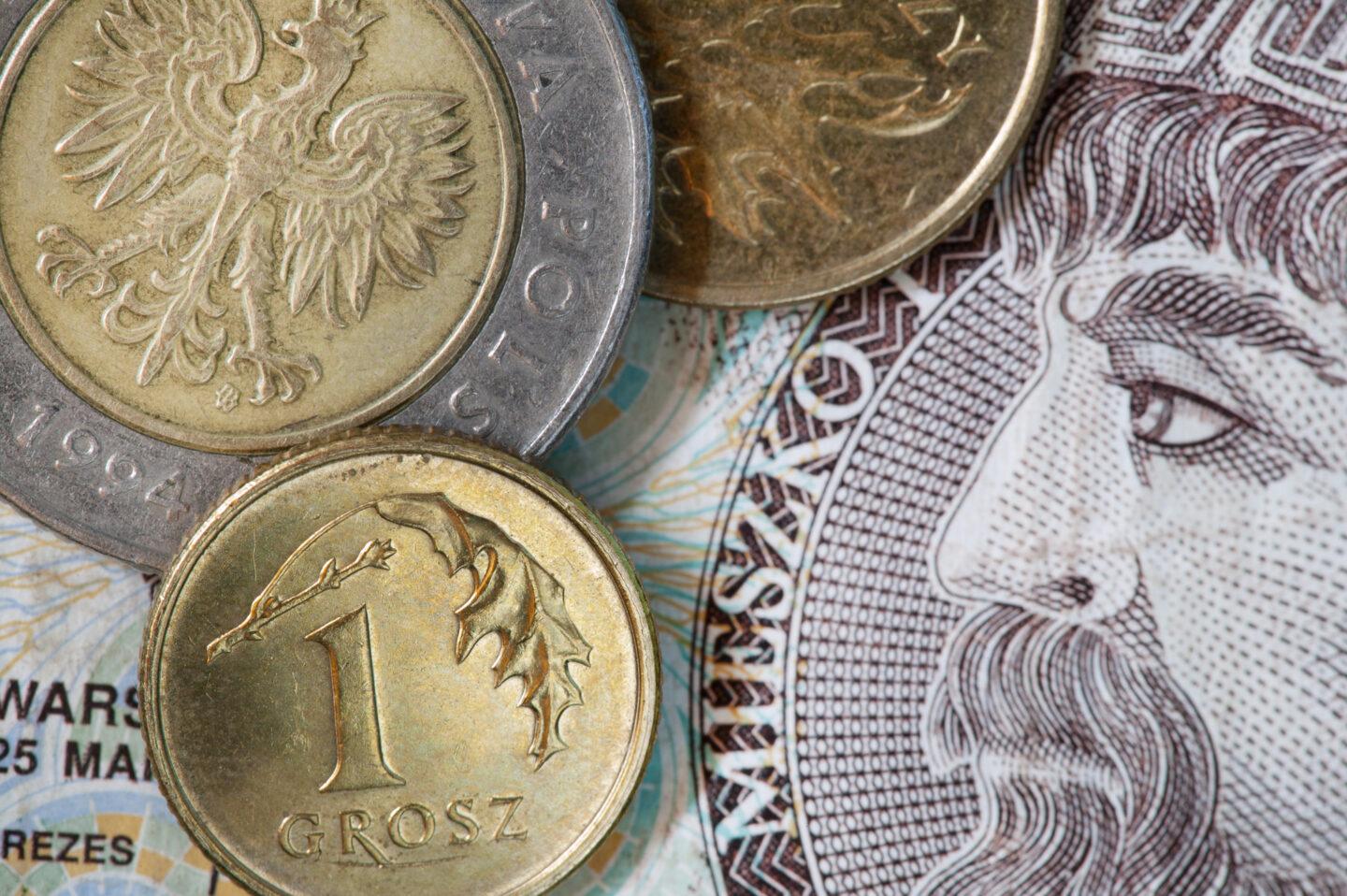 Zdjęcie przedstawia monety i banknoty polskiej waluty złotego (zł, PLN)
