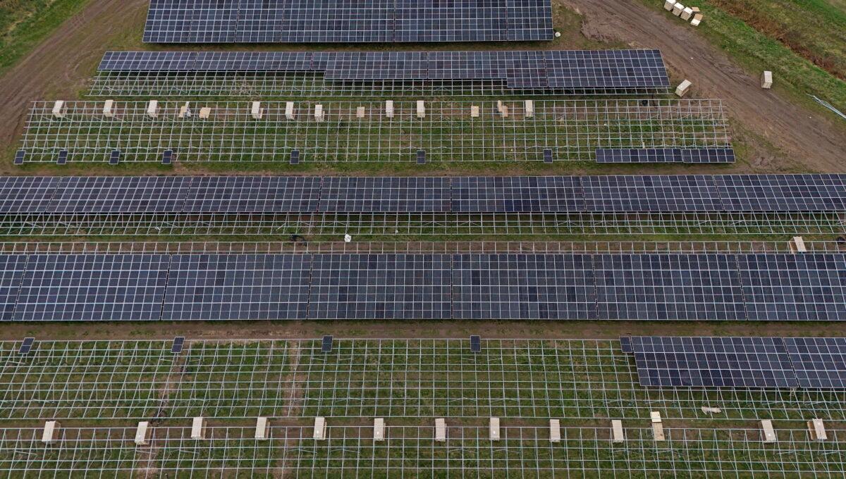 Na zdjęciu panele fotowoltaiczne