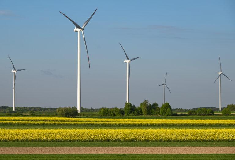 Na zdjęciu farmy wiatrowe nieopodal Rzeszowa