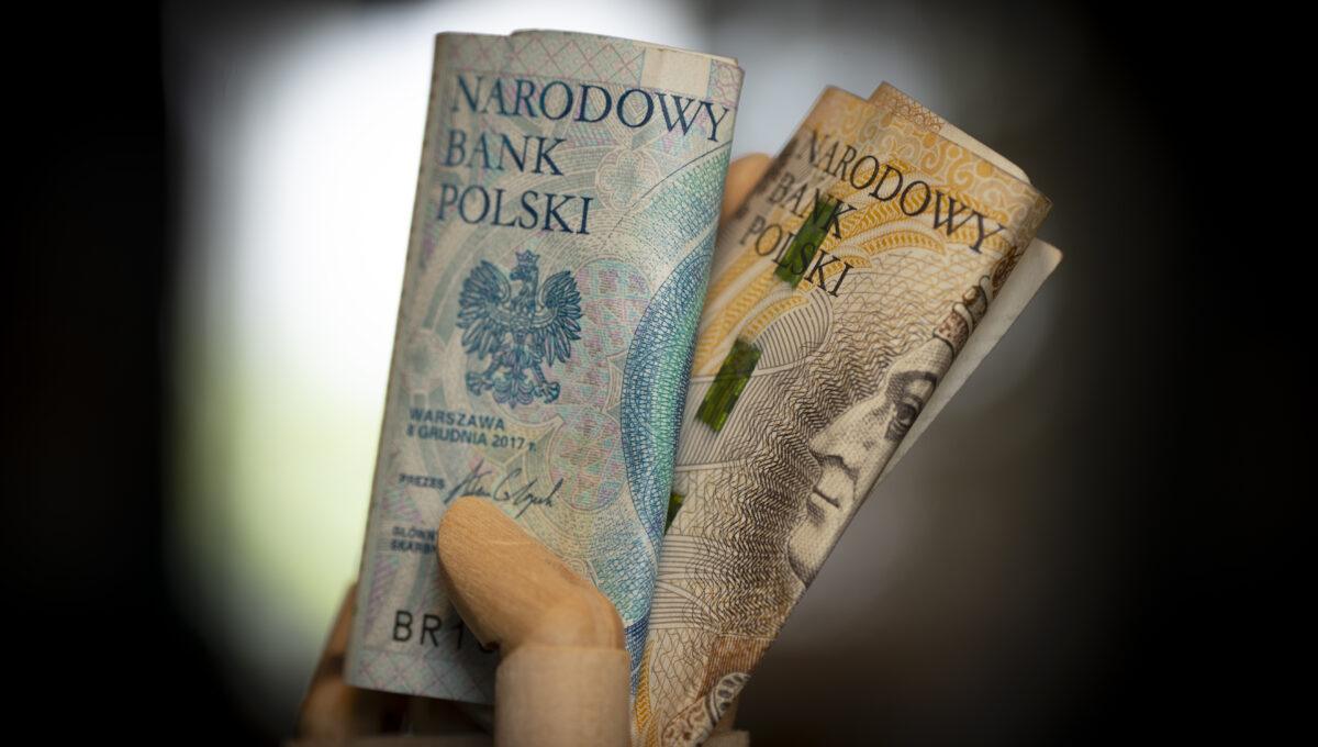 Na zdjęciu osoba trzymająca w ręce polskie złote