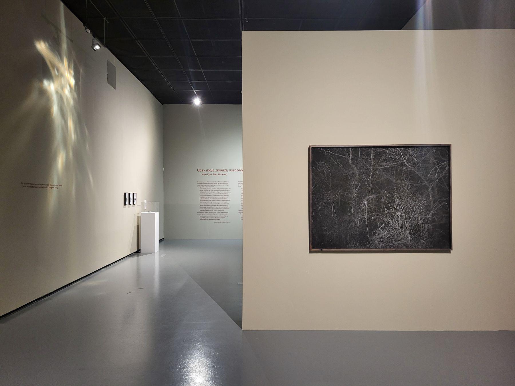 Widok wystawy. Na pierwszym planie zdjęcie z cyklu „Habitat” Michała Łuczaka