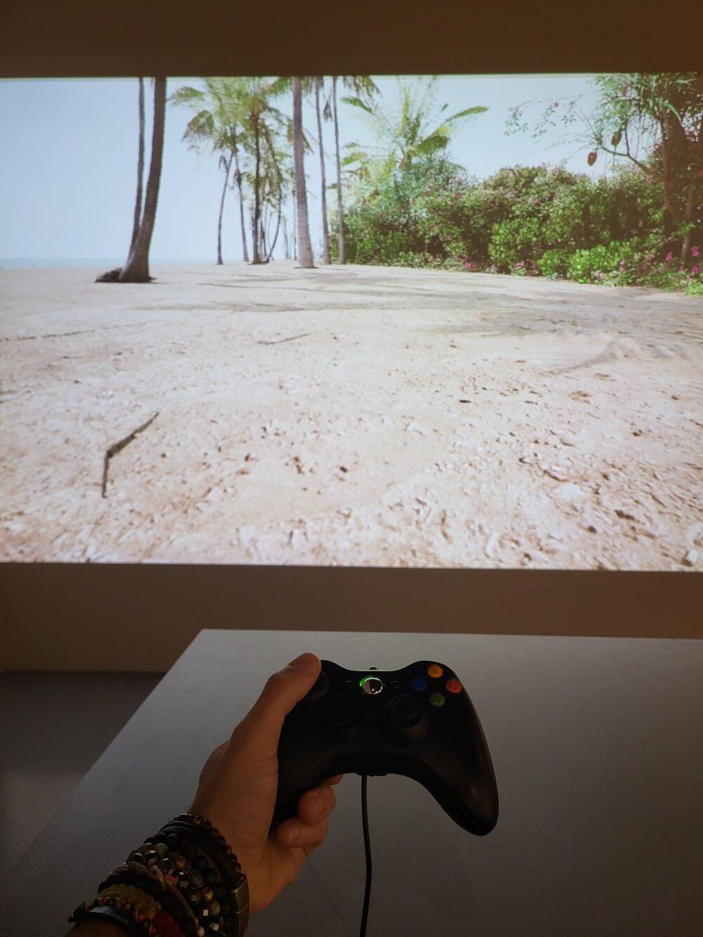 Projekt ”Przeciw Antycypowanej Ruinacji”, przygotowanej we współpracy Członków Rady Wyspy Fanfuti, Tuvalu z artystką Leną Dobrowolską