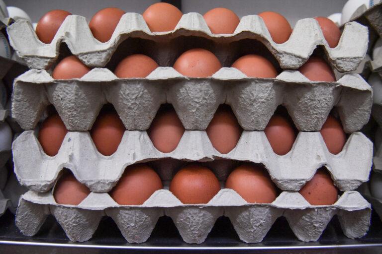 Kurze jajka w sklepie
