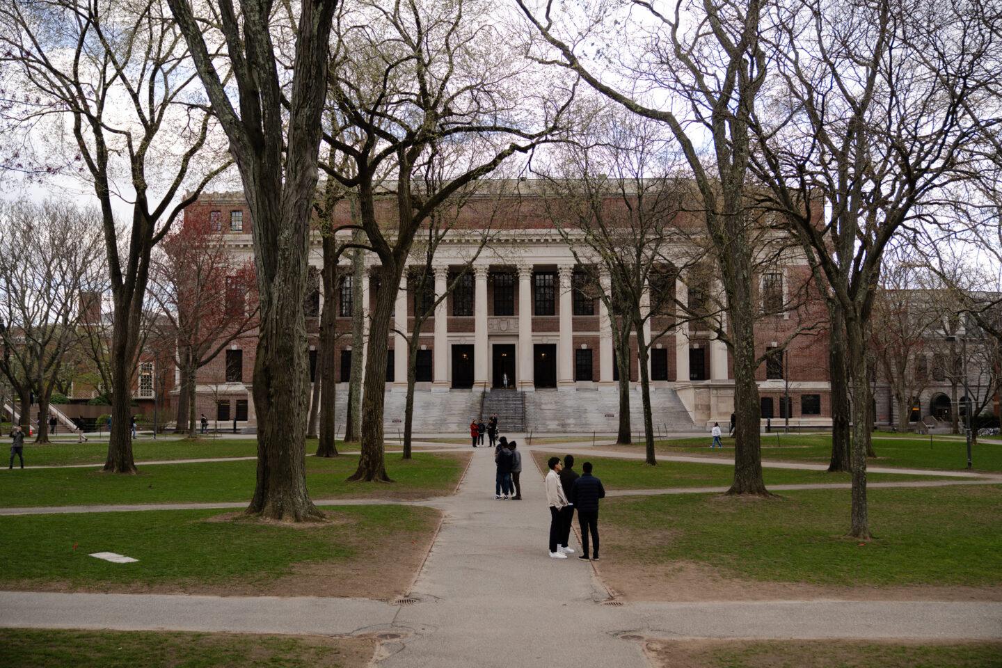 Na zdjęciu studenci na campusie Harvardu