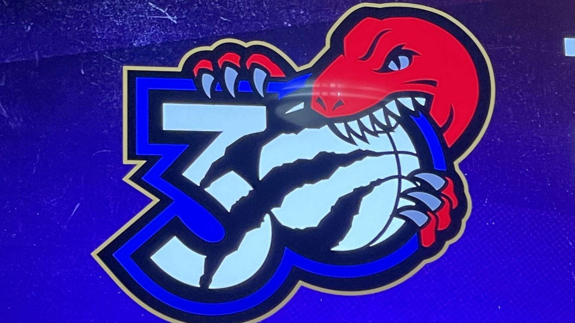 Zdjęcie logotypu Raptors