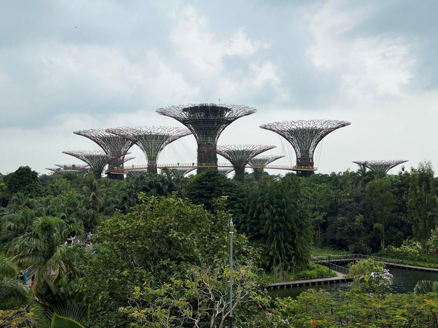 Singapur, Ogrody nad Zatoką, Gardens by the Bay