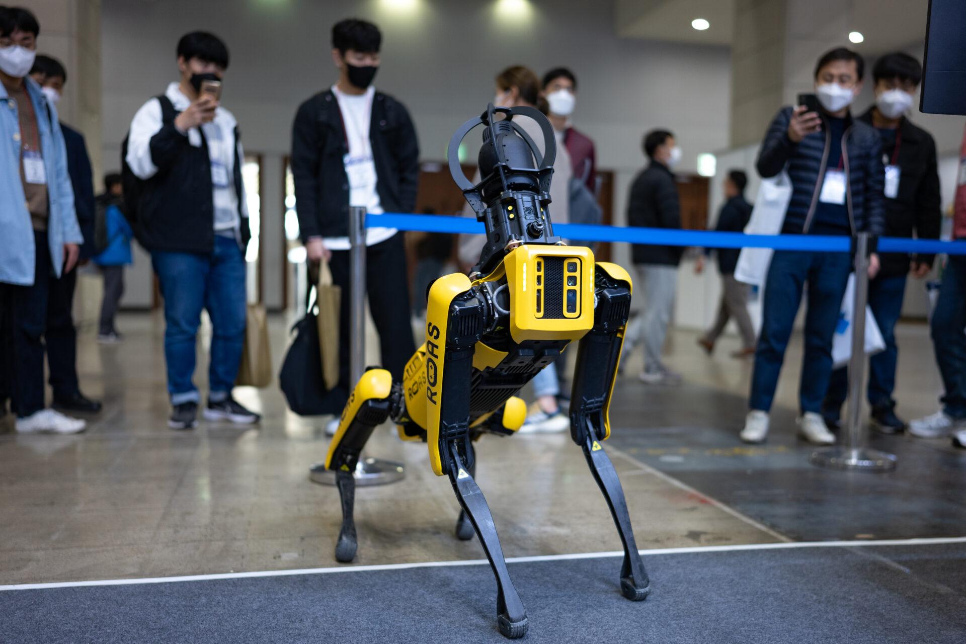 Robotyczny pies Spot firmy Boston Dynamics