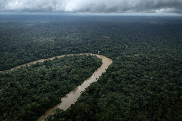Na zdjęciu lasy tropikalne Amazoni
