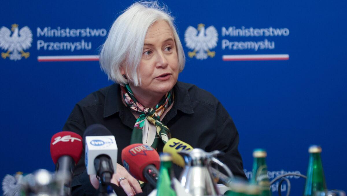 Marzena Czarnecka, ministra przemysłu