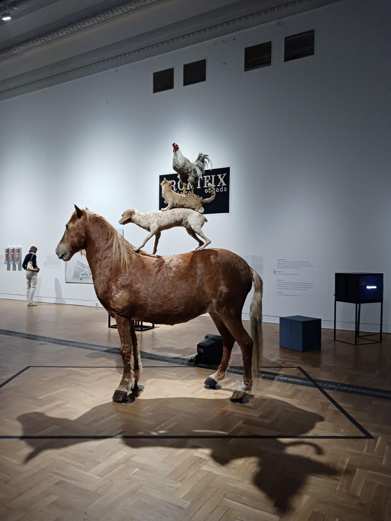 Kozyra - zdjęcie "Piramida zwierząt"