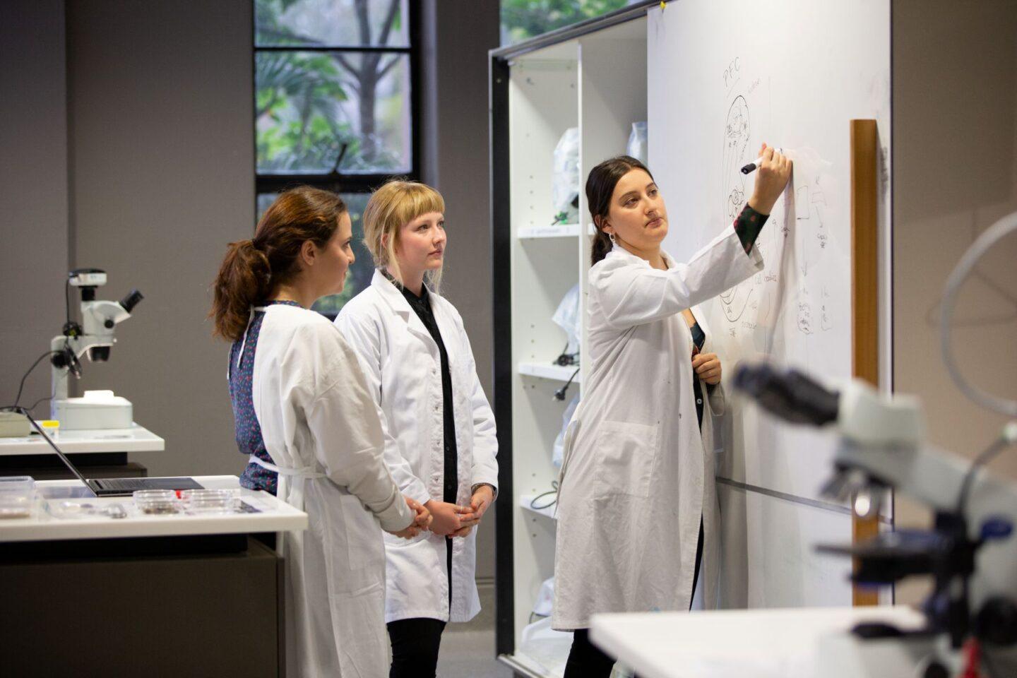 Naukowcy w laboratorium (zdjęcie ilustracyjne)