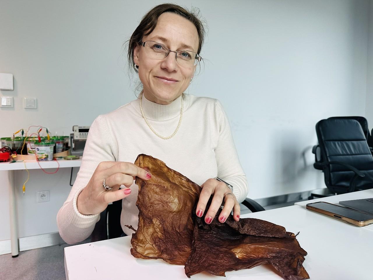 Kosmos, badania, AGH