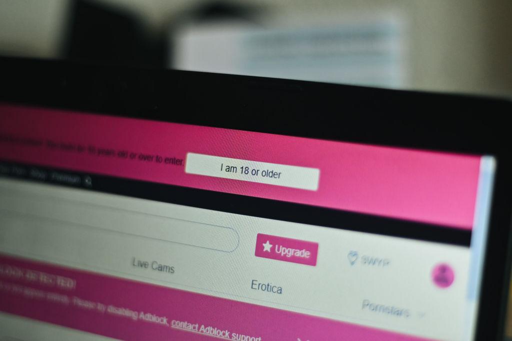 Na zdjęciu fragment strony dla dorosłych