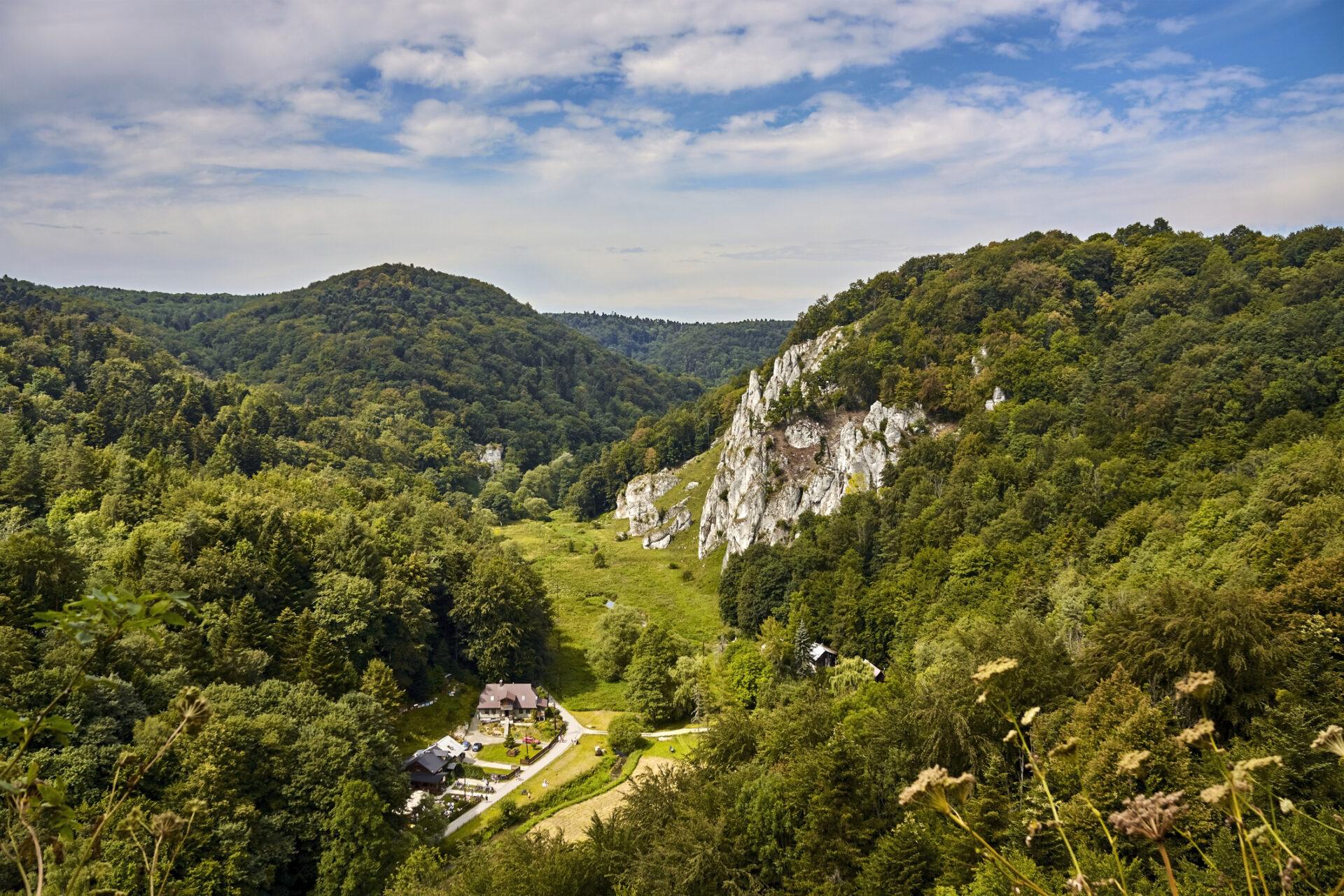 Dolina Prądnika w Ojcowskim Parku Narodowym 
