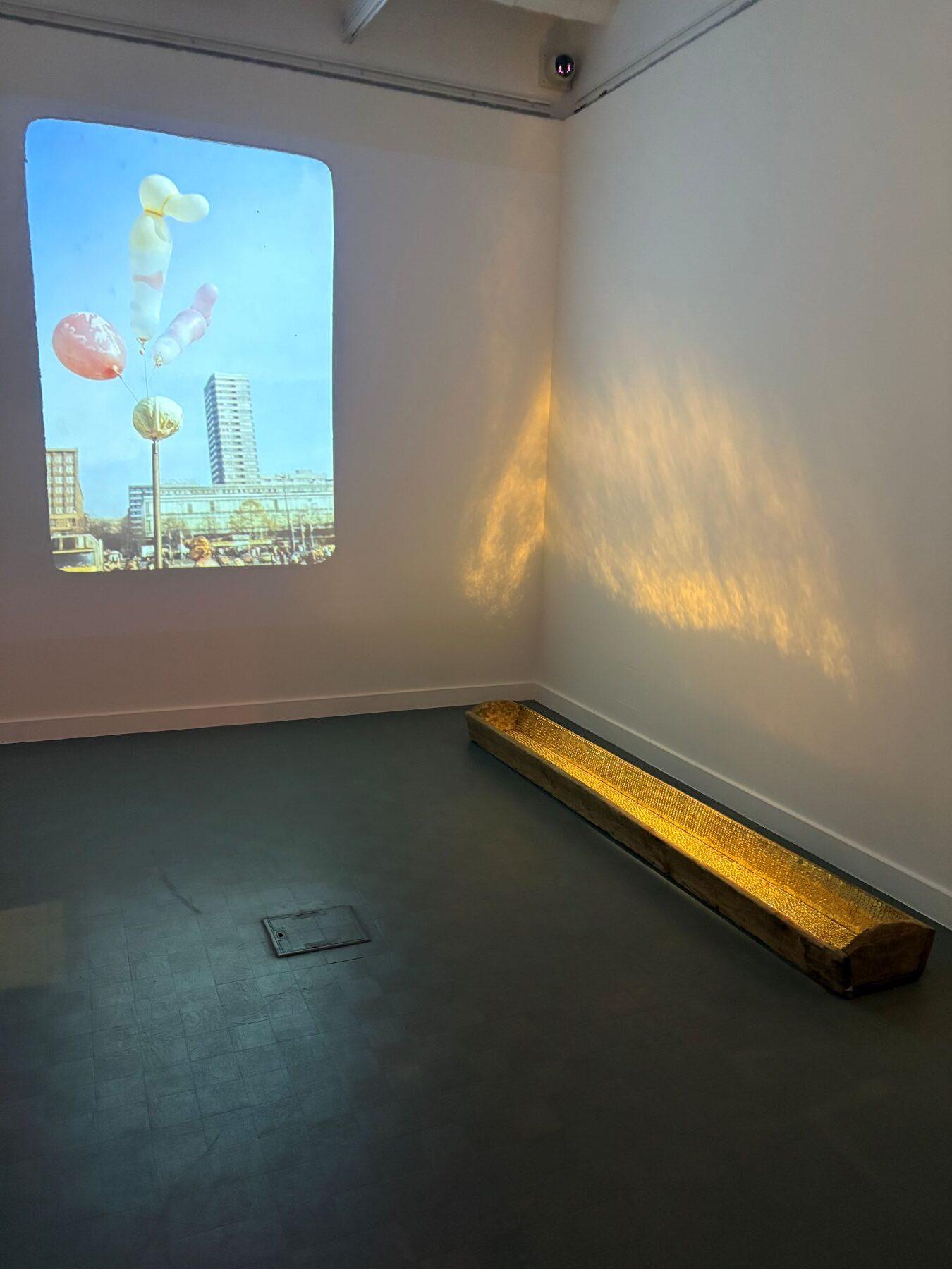 Daniel Rycharski, Władysław Hasior, Rozbieranie ze snu, 2025, TRAFO, Szczecin, Polska, kuratorki: Ania Batko, Julita Dembowska, widok wystawy.