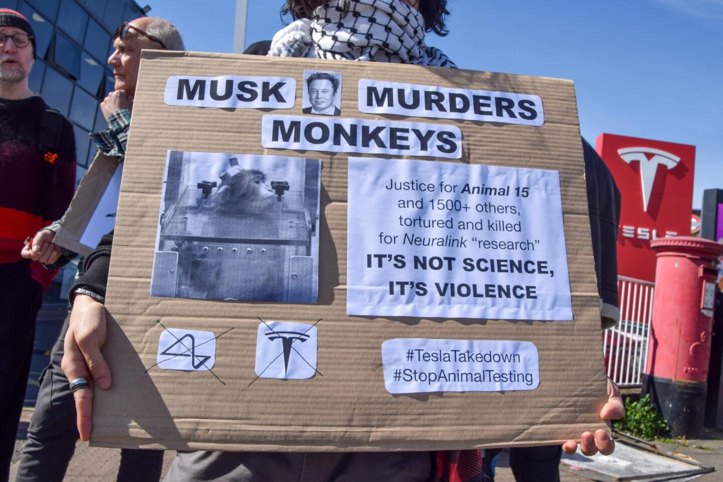 Na zdjęciu: Protesty przeciw Neuralink