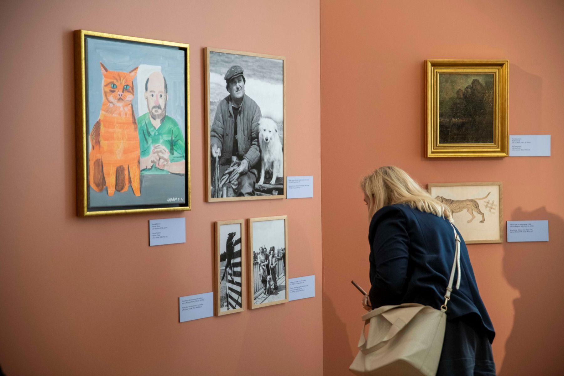 Wystawa „Gdańsk pełen zwierząt”. 