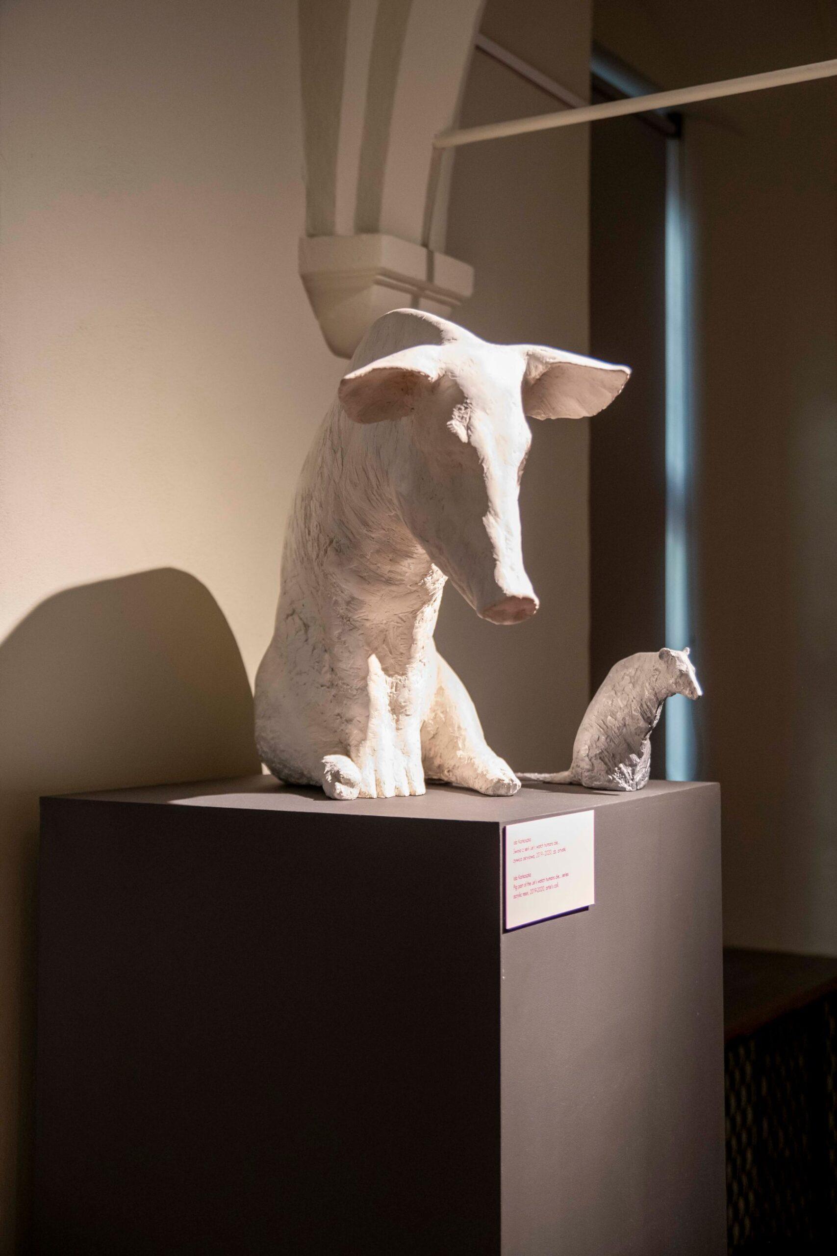 Wystawa „Gdańsk pełen zwierząt”. 