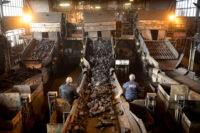 Na zdjęciu górnicy i węgiel