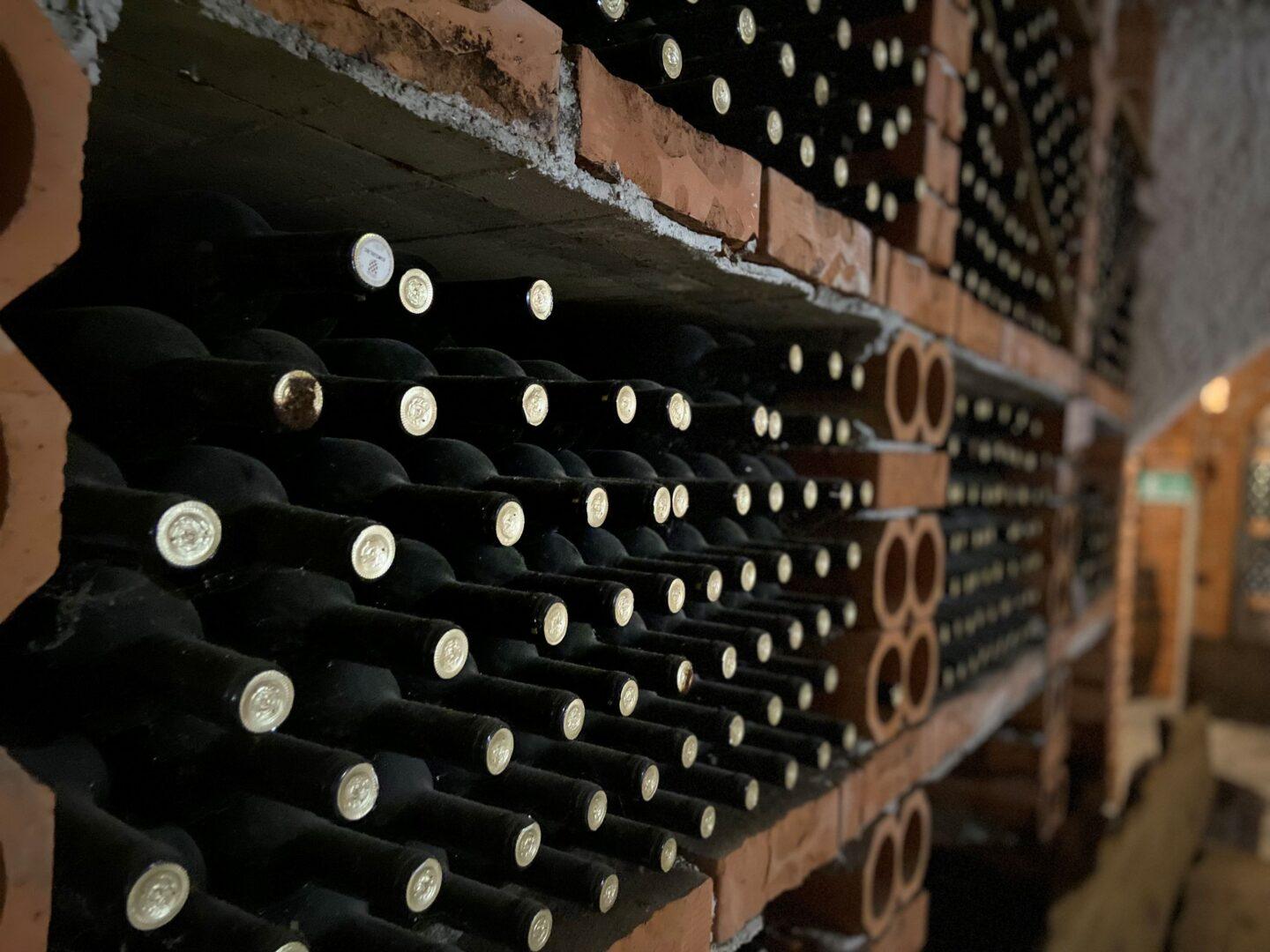 Wina na półce w winnicy