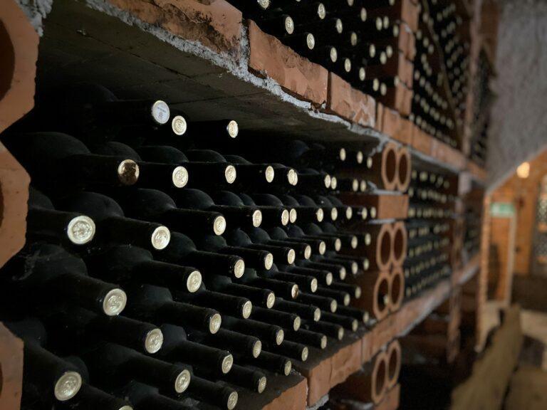 Wina na półce w winnicy