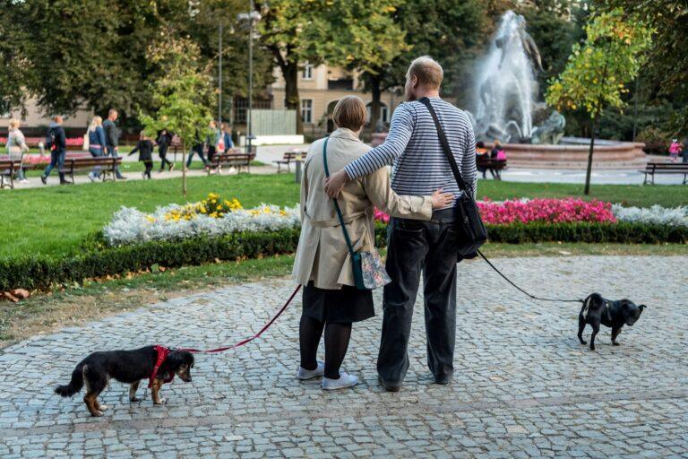przytulona para na spacerze z psami