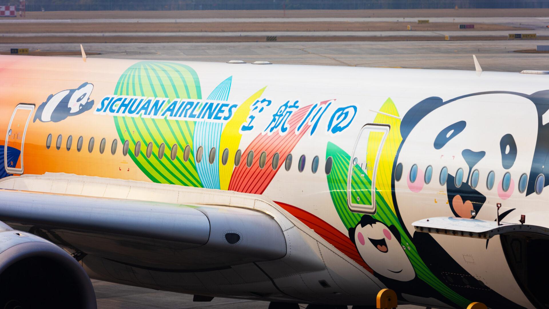 Wizerunek pandy na kadłubie odrzutowca