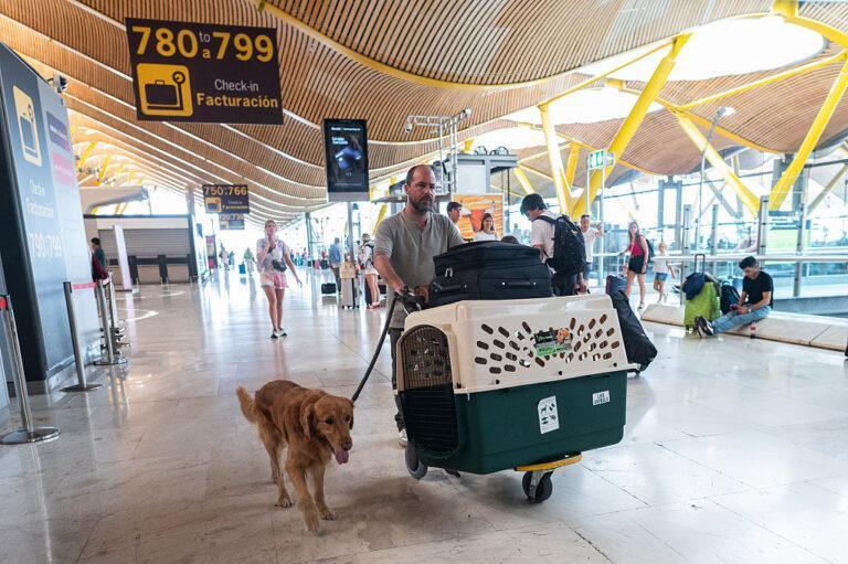 przewóz zwierząt lotnisko