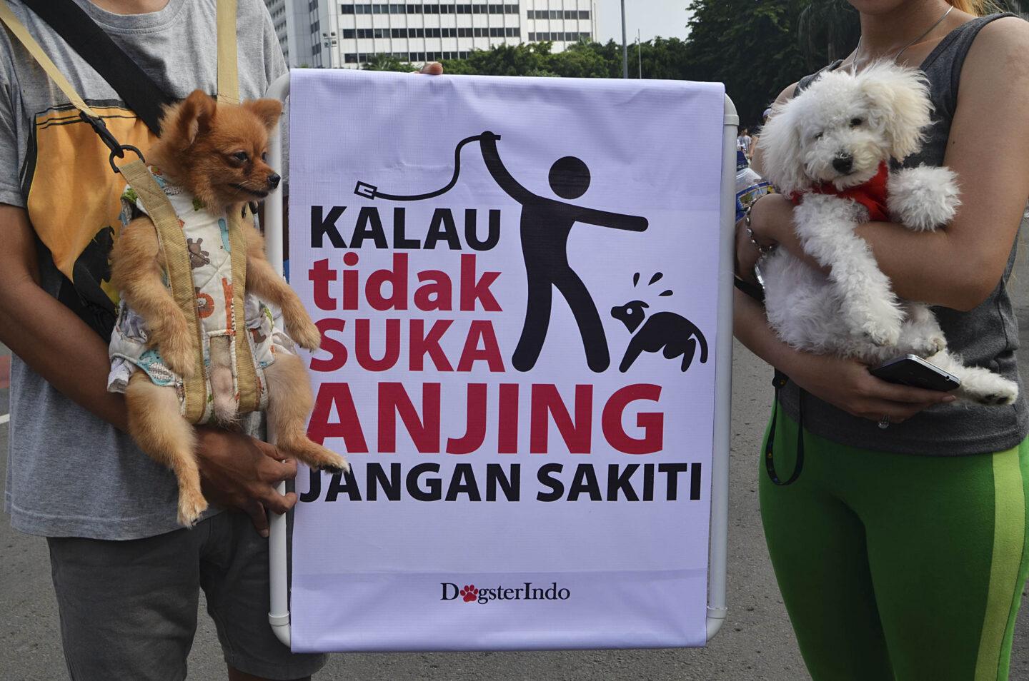 Aktywiści trzymają dwa psy w sąsiedztwie białego baneru protestacyjnego