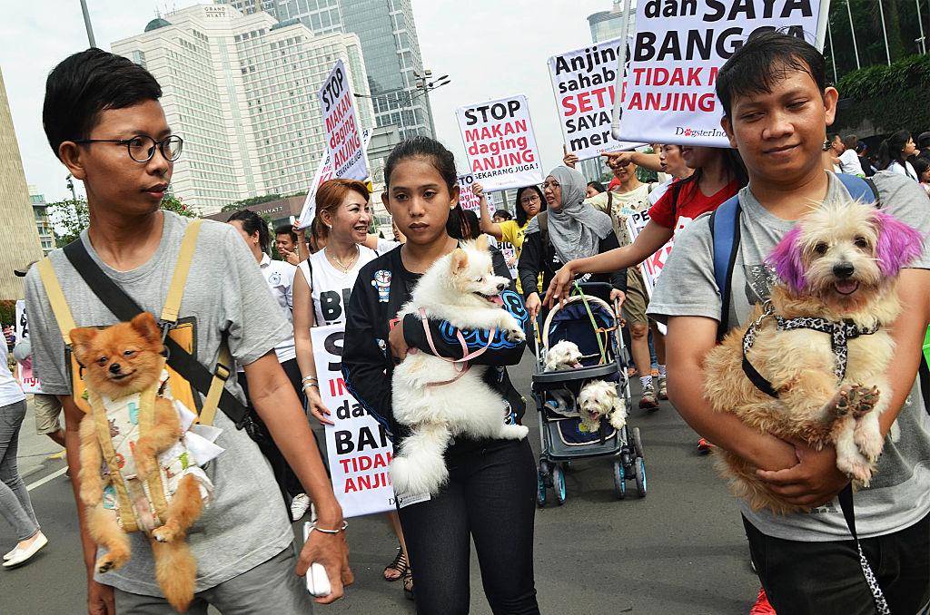 Grupa osób z psami niosących banery na tle wieżowców