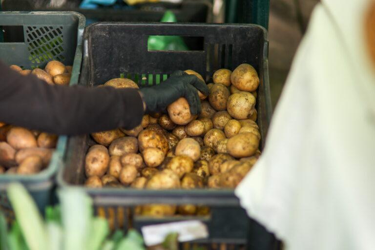 Na zdjęciu sprzedaż warzyw na targu
