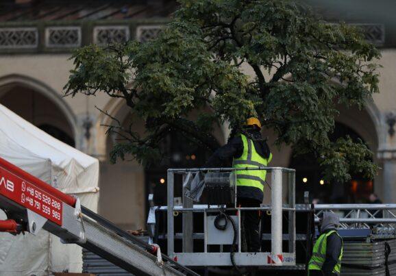 „Firmy-krzaki” już nie pośredniczą w zatrudnieniu? Sezon świąteczny pod lupą inspektorów