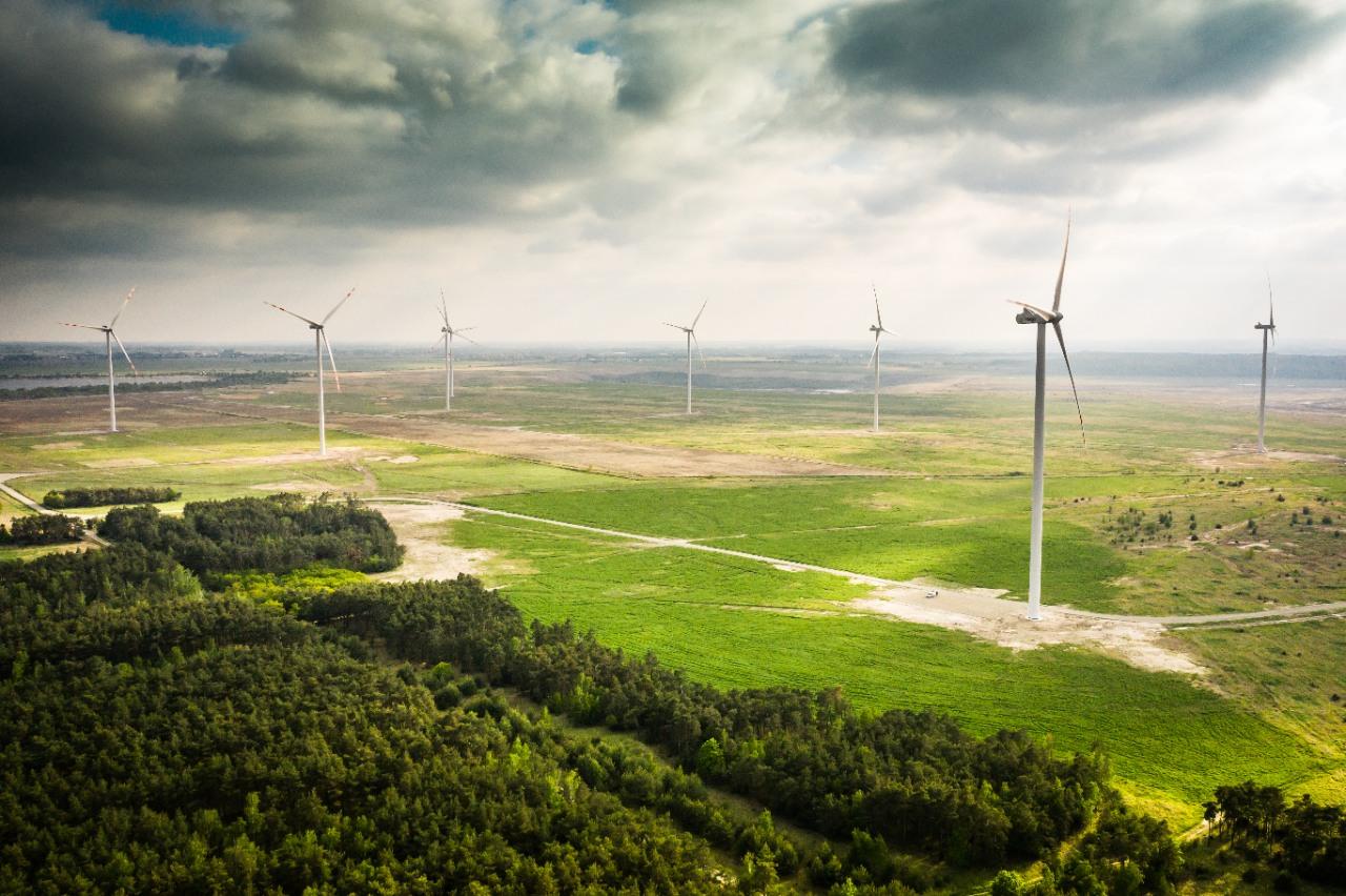 Na zdjęciu farmy wiatrowe