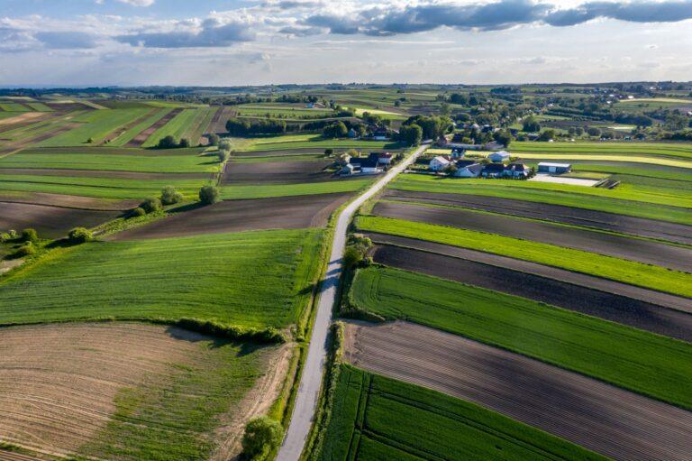 Pola uprawne w województwie świętokrzyskim