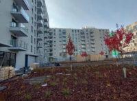 XYZ Place na zdjęciu z października 2025 r.