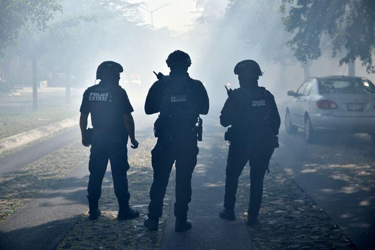 Meksykańskie siły bezpieczeństwa