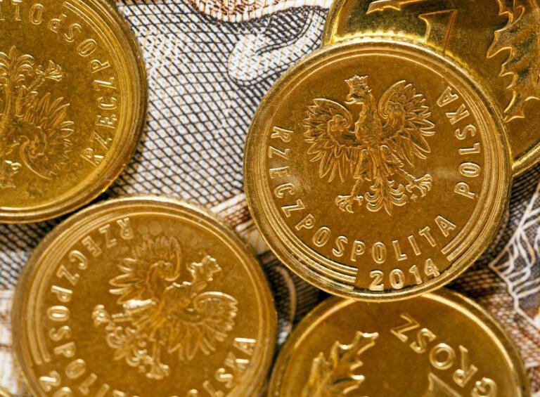 Polish Zloty, close-up