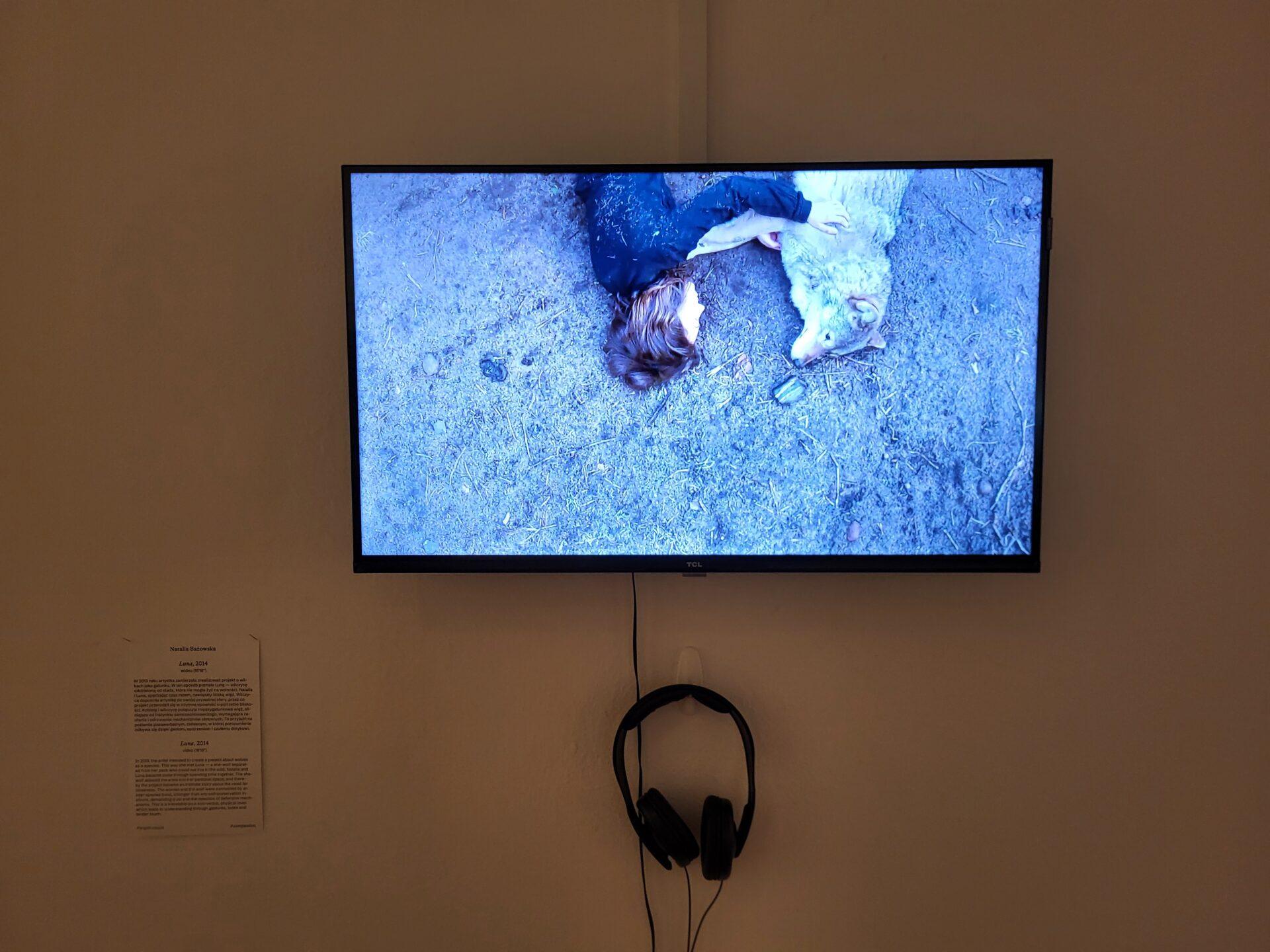 Natalia Bażowska, „Luna” 