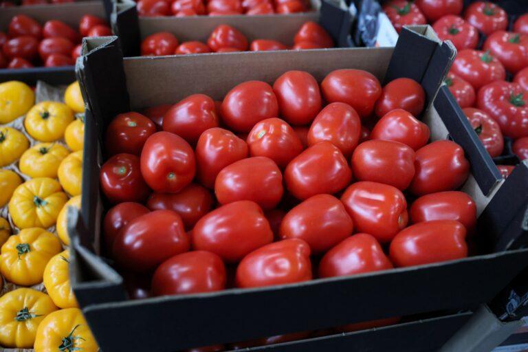 Pomidory na giełdzie w Broniszach