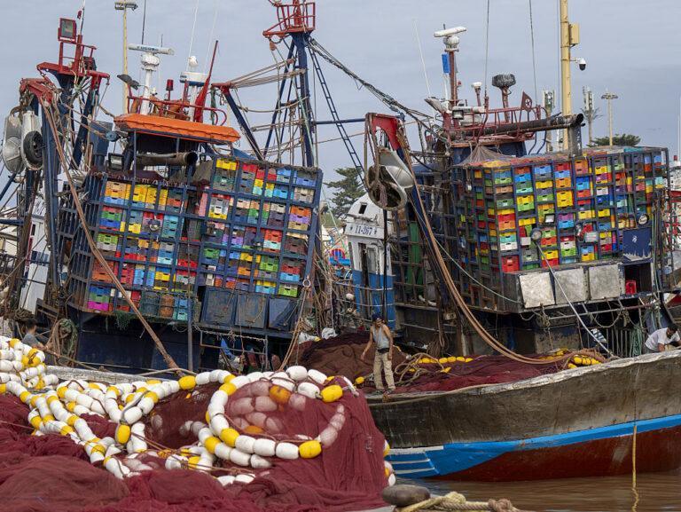 Kutry rybackie w porcie w Maroku