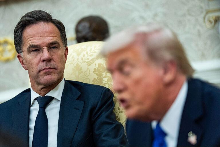 Rutte Trump