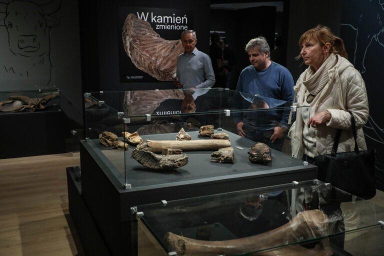 zwiedzający w muzeum