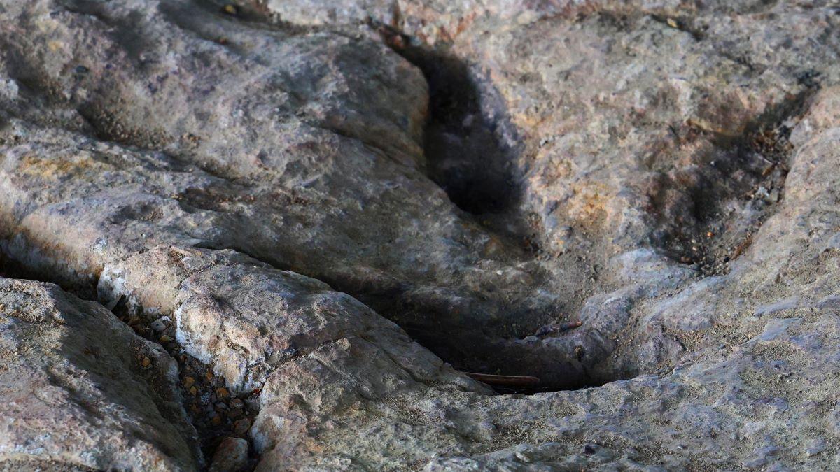 Odcisk dinozaura w Gagatach Sołtykowskich