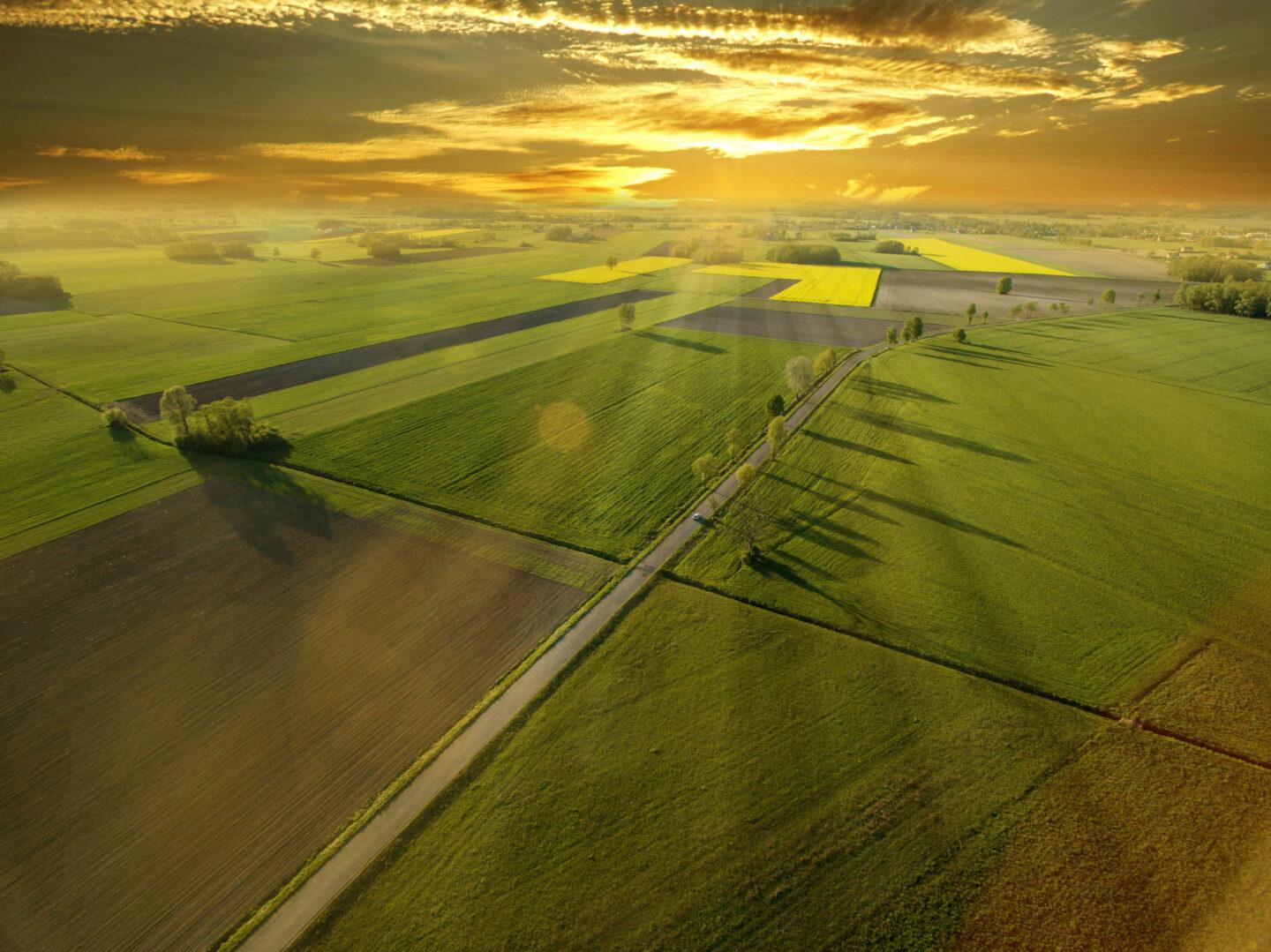 Widzę zdjęcie z Getty Images — piękne ujęcie z drona nad wielkopolskimi polami o zachodzie słońca. Pasuje do tekstu ilustracyjnie, ale zanim zaproponuję podpisy, muszę zapytać: czy masz wykupioną licencję na to konkretne zdjęcie z Getty? Numer 1186111591 widoczny w nazwie pliku wskazuje na płatne stock photo — użycie bez licencji w tekście dziennikarskim może być problematyczne. Jeśli licencja jest w porządku, proponuję: Tekst alternatywny (SEO + dostępność): Widok z lotu ptaka na pola uprawne w Wielkopolsce o zachodzie słońca