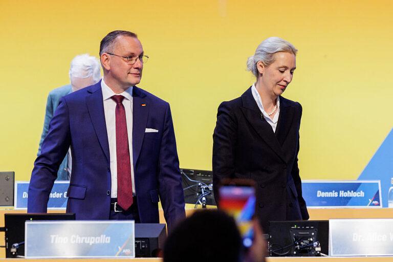 Alice Weidel i Tino Chrupalla