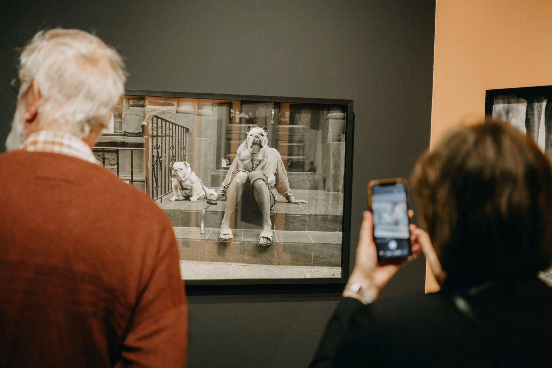 Wystawa zdjęć fotografa Elliotta Erwitta w Domu Spotkań z Historią. 