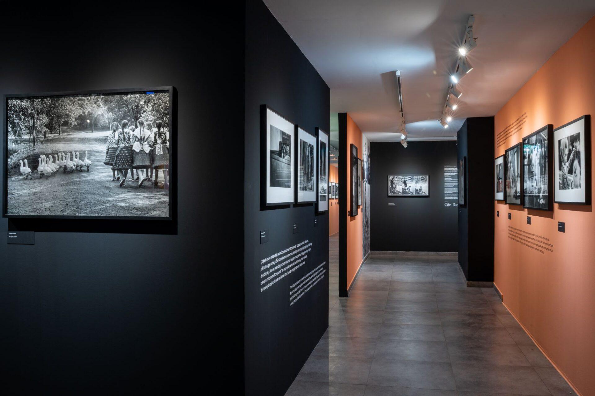 Wystawa zdjęć fotografa Elliotta Erwitta w Domu Spotkań z Historią. 