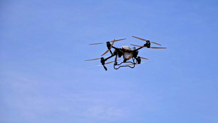 Dron
