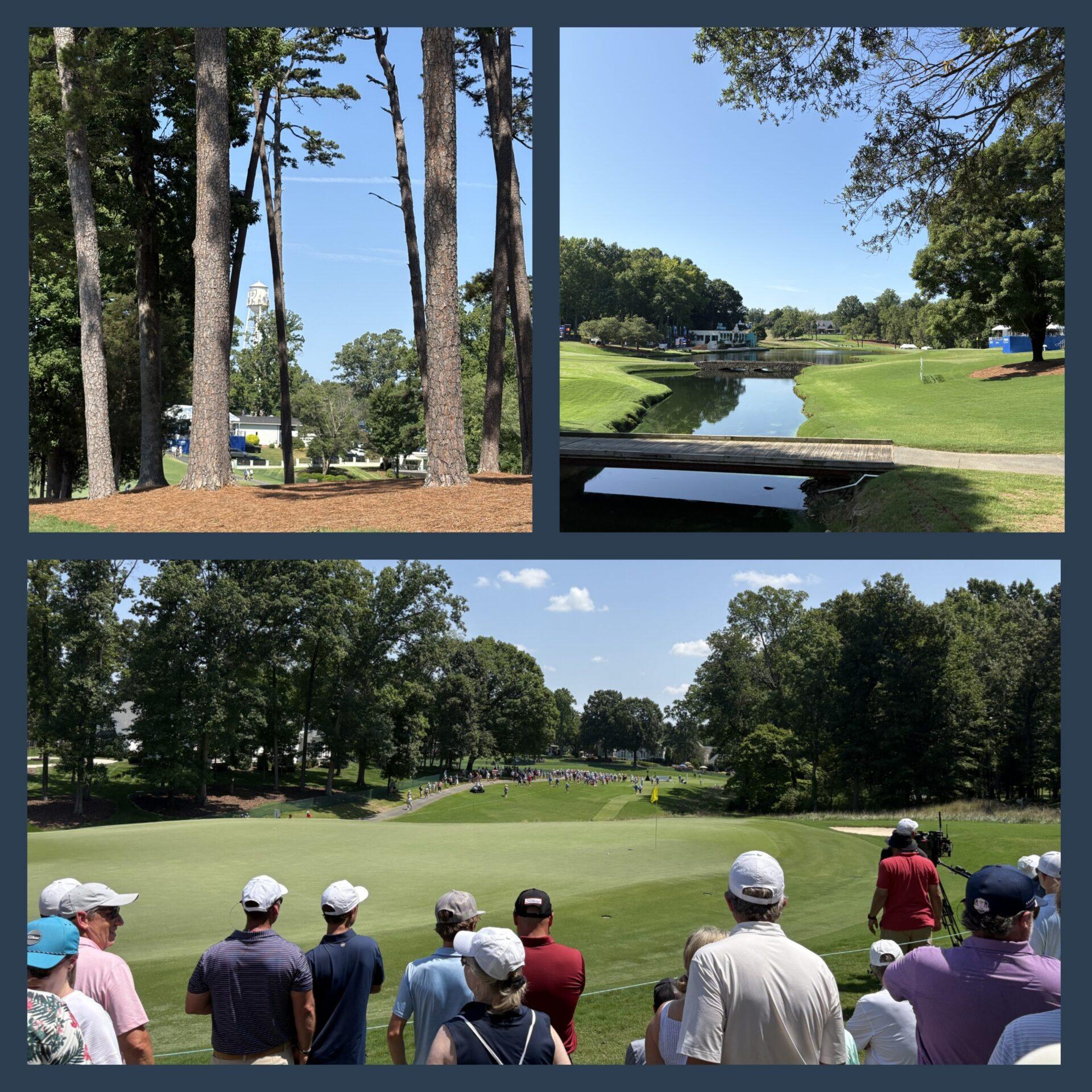 Pola golfowe są przepiękne